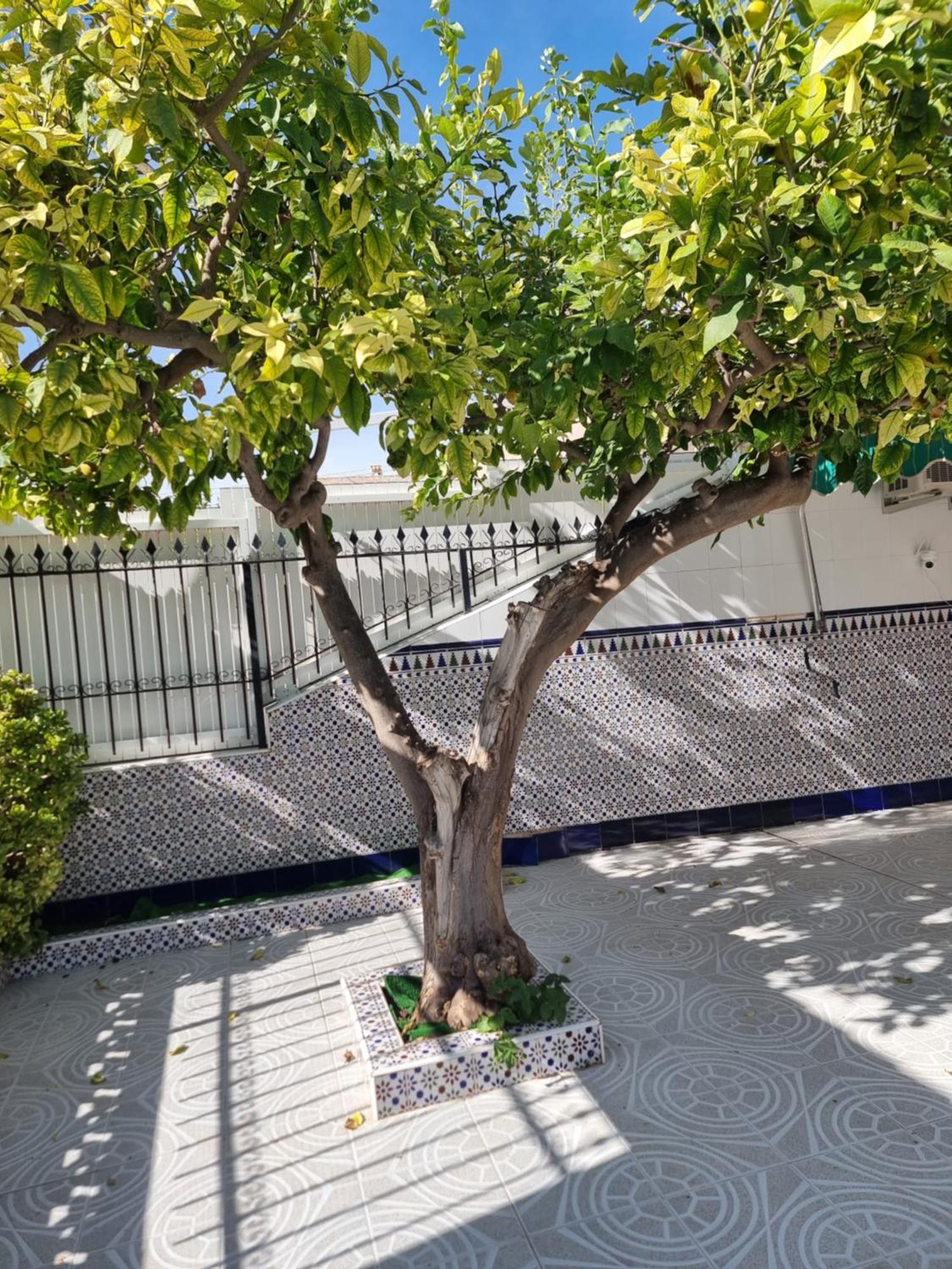 Casa Tranquila Cerca Del Mar Villa Santiago De La Ribera Exteriör bild